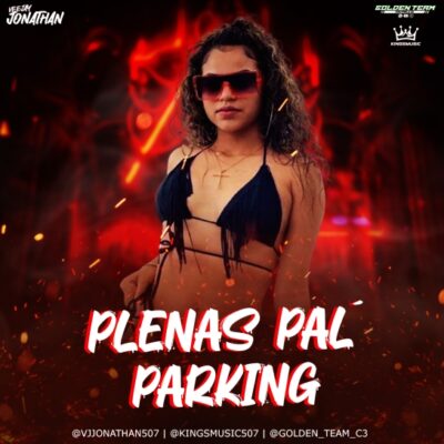 Plenas Pal Parking Vol 2 MixTape - Vj Jonathan 507