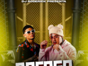 Dj Roderick 507 – Rafagas De Plenas MixTape