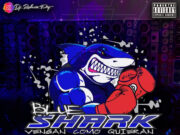Dj Roberto Pty, Navic Install Sound, King Of Bass 507 – Blue Shark 2024
