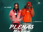 DJ Aldor Pty – Plenas Lil Nay, El Americano 4kt MixTape
