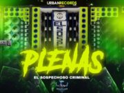 Luis Valdes Jr – Plenas MixTape 2026